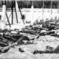 Massacres 8 Mai 1945